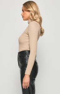 High Neck Fitted Basic Knit Top